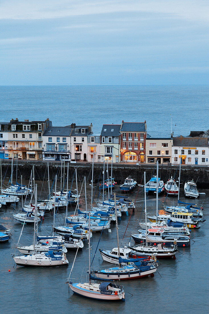 Hafen von Ilfracombe im Abendlicht, Devon, Großbritannien, England