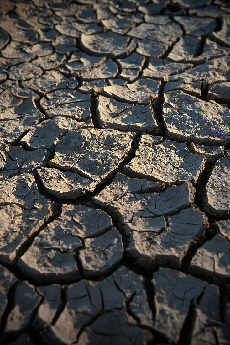 Vertrockneter brüchiger Boden in der Kalahari Wüste, Namibia, Afrika