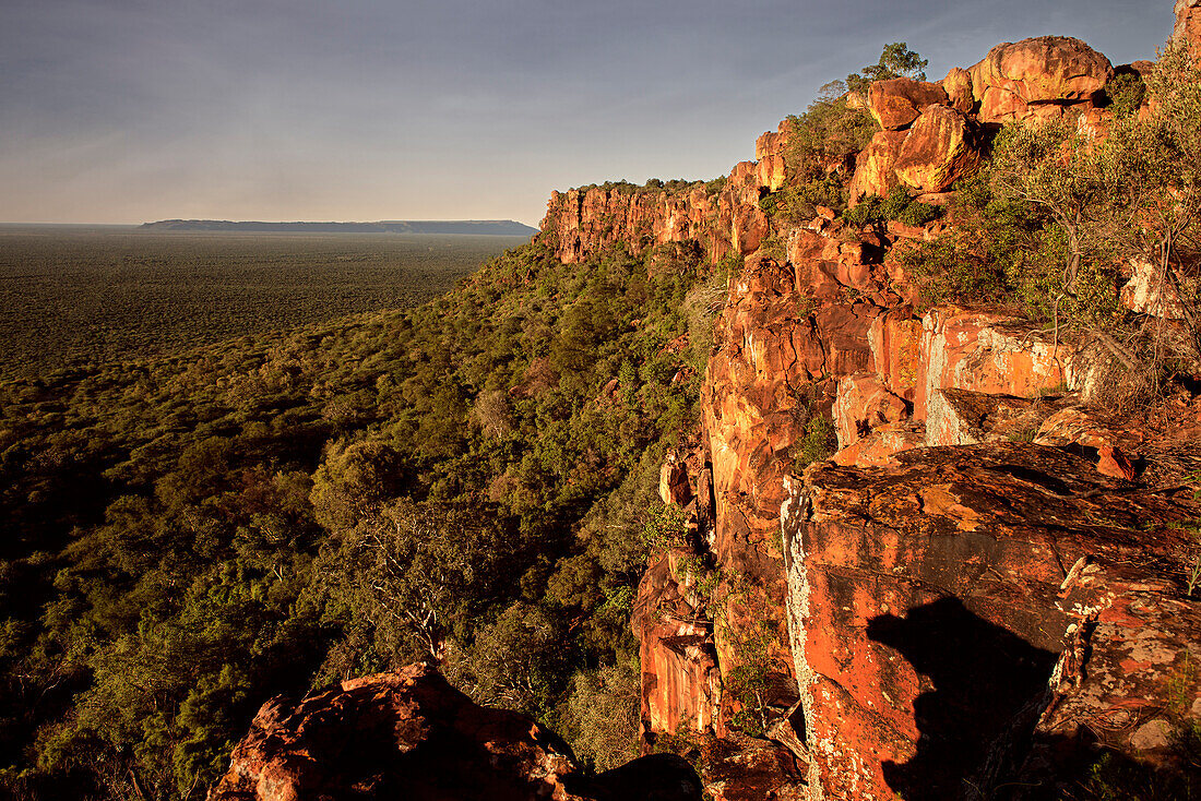 der Waterberg Tafelberg und das Umland, Waterberg National Park, Namibia, Afrika