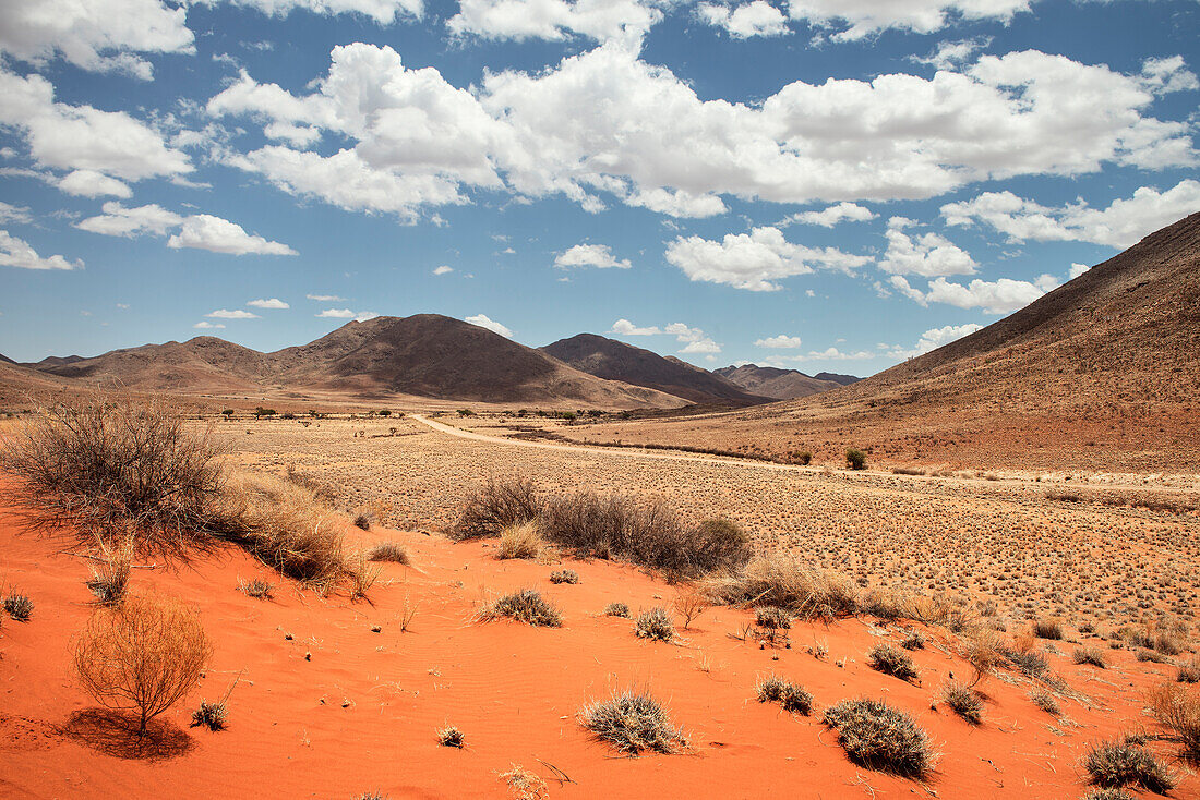 Rote Sand Dünen und Vegetation im Tiras Gebirge, Tirasberge, Namib Naukluft Park, Namibia, Afrika