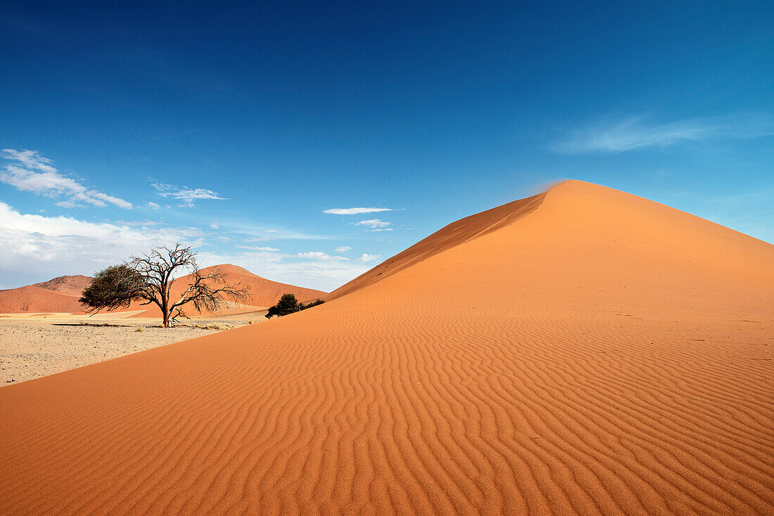 Dünenkamm der Düne 45, orangener Sand und blauer Himmel, bei Sossusvlei, Namib Naukluft Park, Namibia, Namib Wüste, Afrika