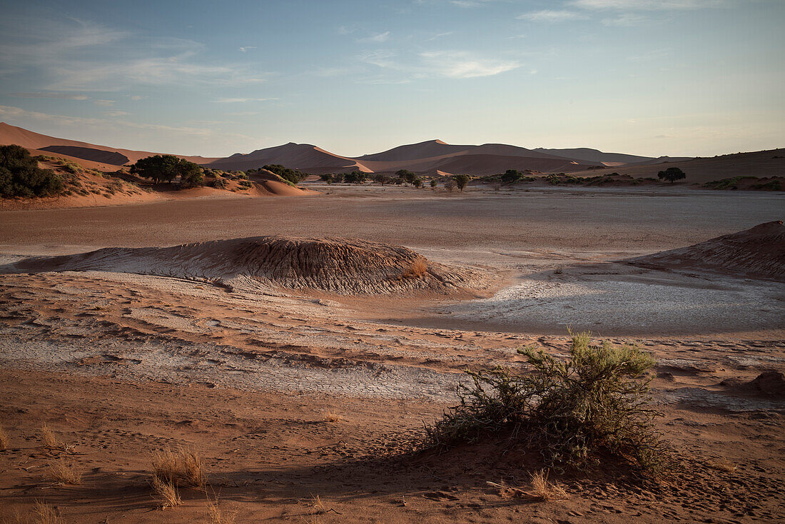 Blick auf Tonpfanne sog. Vlei und rote Sand Dünen bei Sossusvlei, Namib Naukluft Park, Namibia, Namib Wüste, Afrika