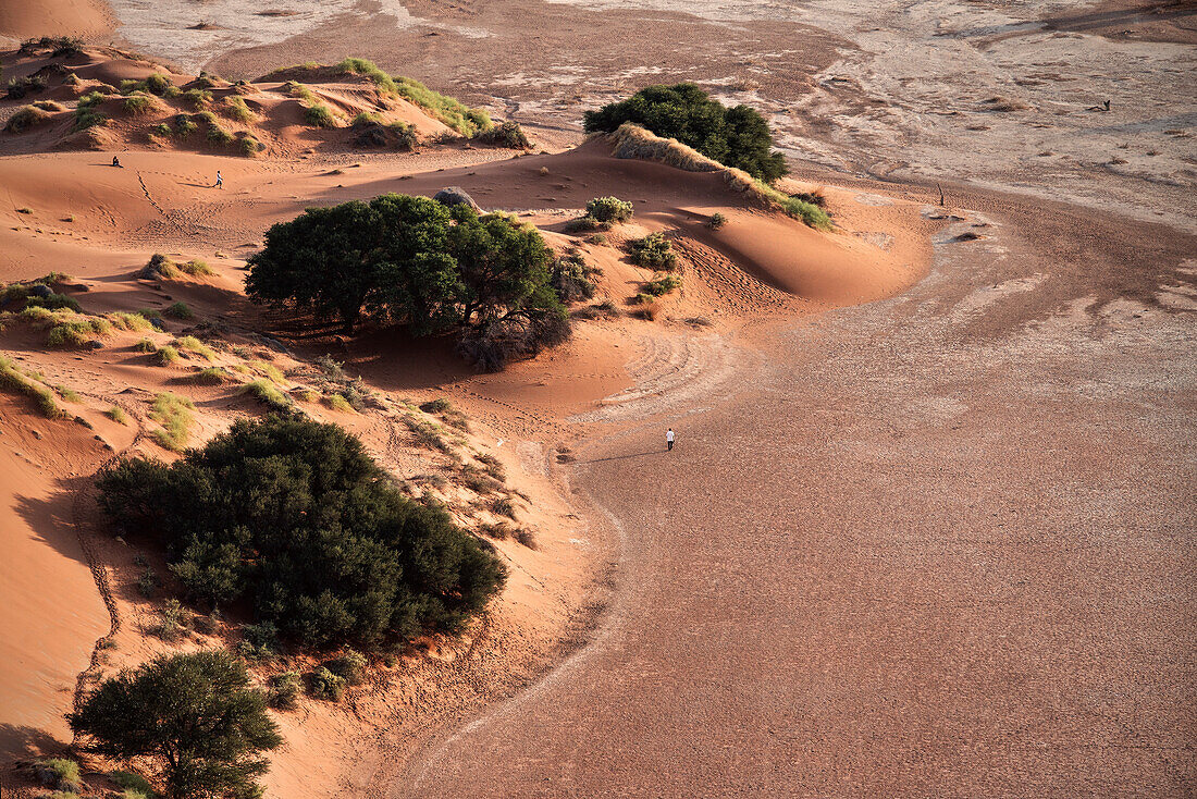 Vogelperspektive auf Tonpfanne sog. Vlei bei Sossusvlei, Namib Naukluft Park, Namibia, Namib Wüste, Afrika