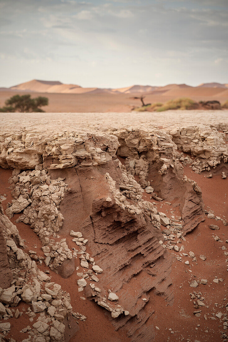 Detail of dried out soil at Dead Vlei, around Sossusvlei, Namib Naukluft National Park, Namibia, Namib desert, Africa