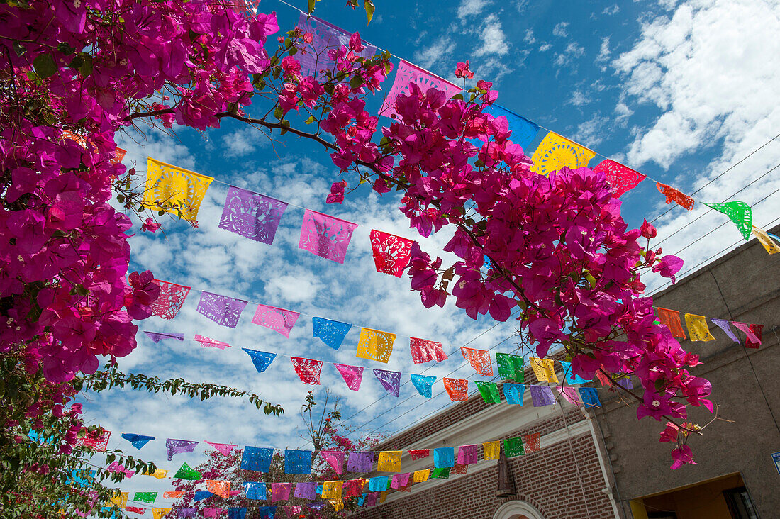 Bougainvilleaand colorful flags in Todos Santos, Baja California Sur, Mexico