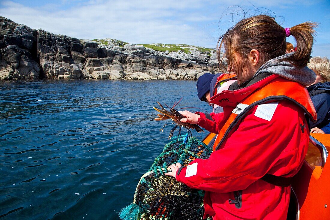 Fishing lobster and crab pot. Great Bernera. Lewis island. Outer Hebrides. Scotland, UK.