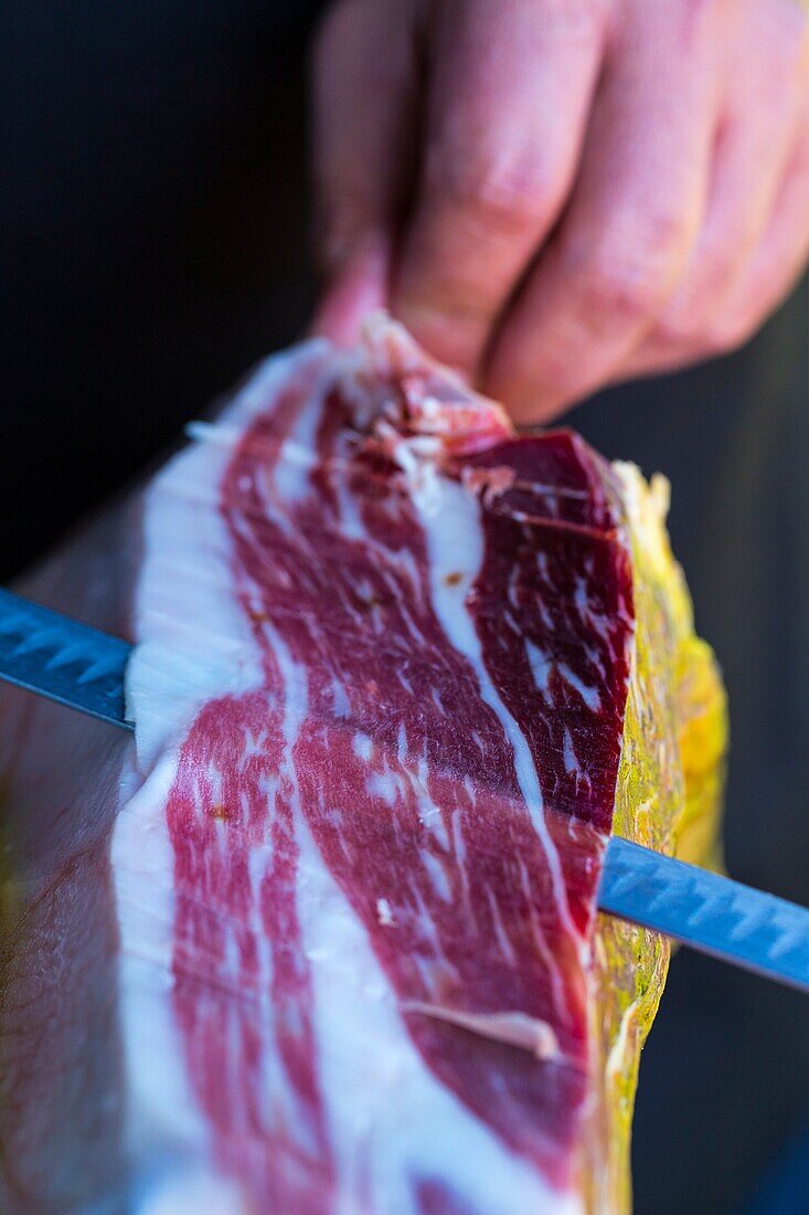 JAMON IBERICO, Spanish Ham, Spain, Europe.