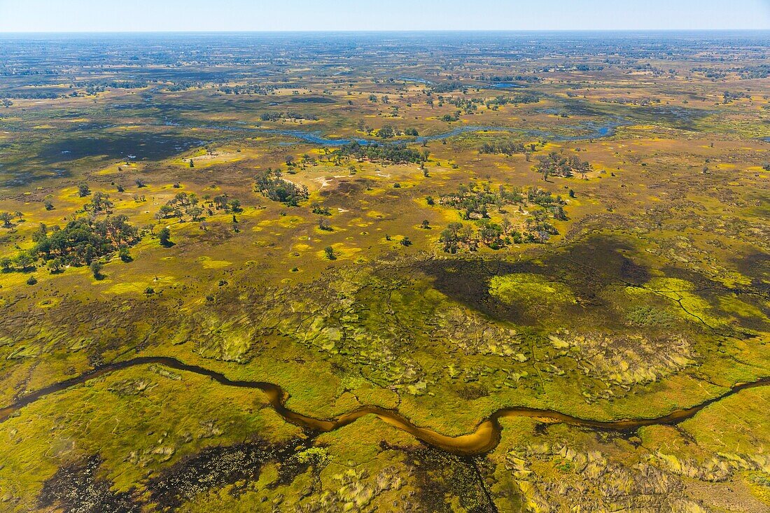 Okavango Delta, Botswana, Africa.