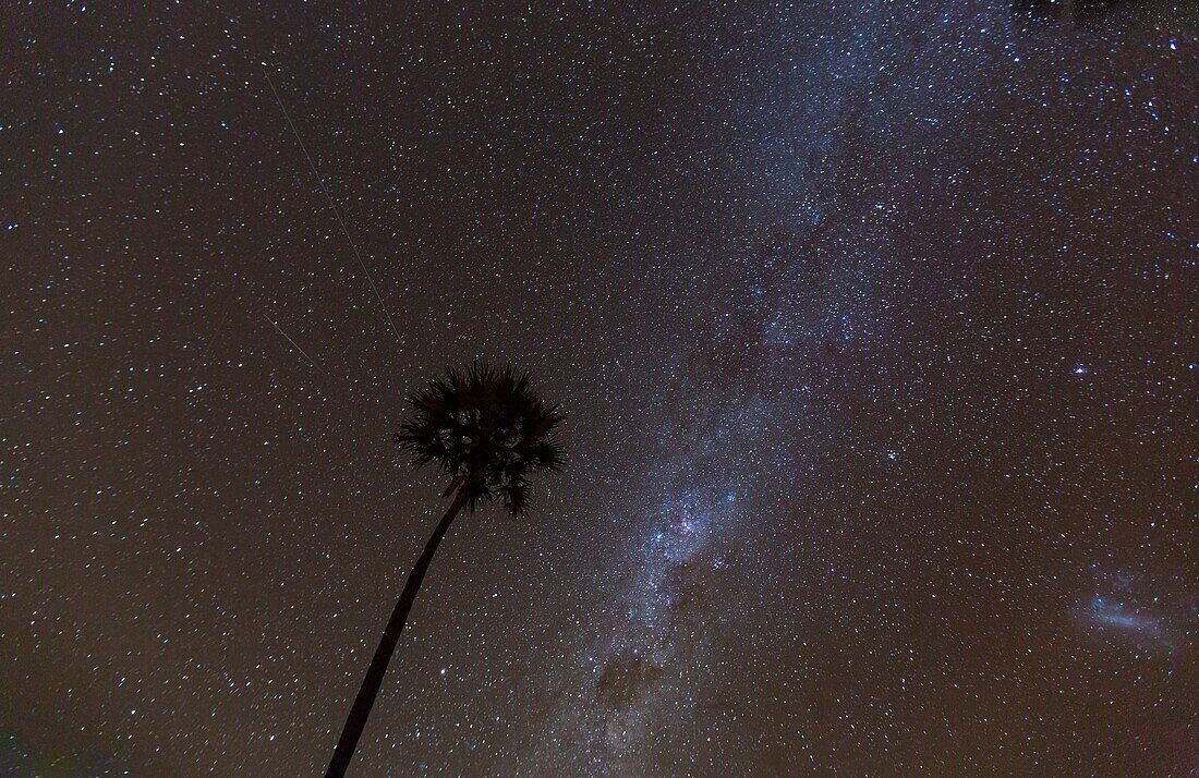 Stars and Sky, Okavango Delta, Botswana, Africa.