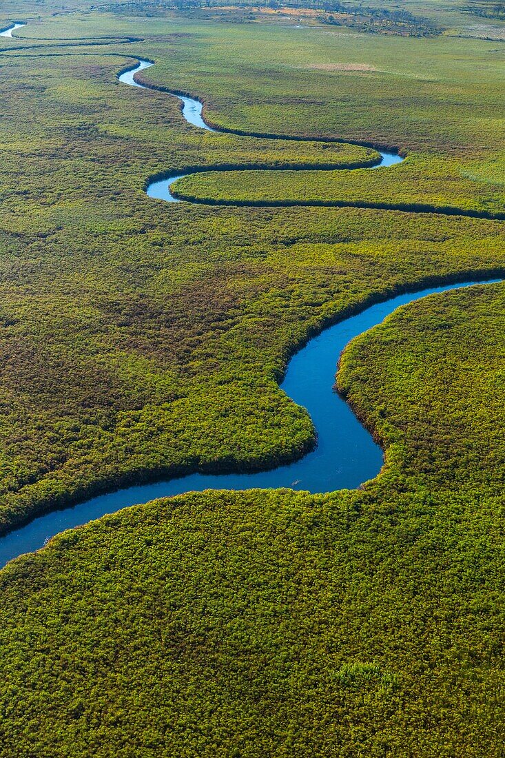 Okavango Delta, Botswana, Africa.