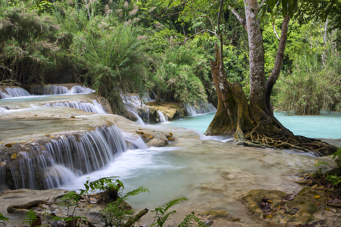 Kwang Si-Wasserfälle bei Luang Prabang, Laos.