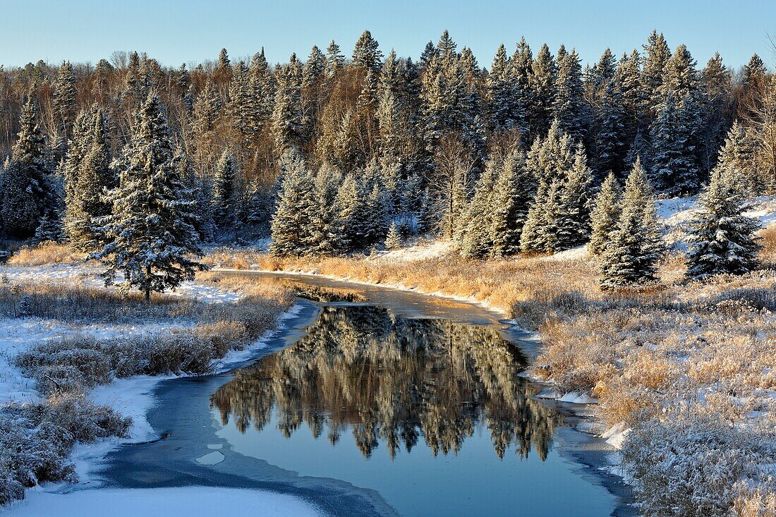 Junction Creek in early winter with a dusting of fresh snow, Greater Sudbury (Lively), Ontario, Canada