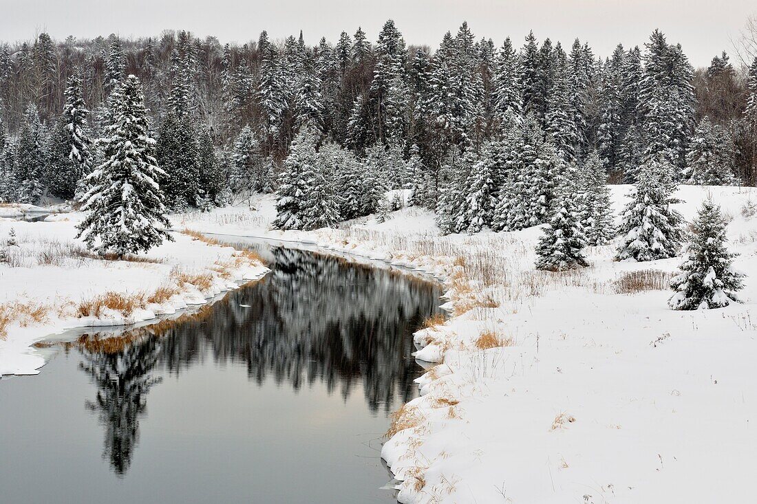 Open water of Junction Creek with fresh snow, Greater Sudbury (Lively), Ontario, Canada.