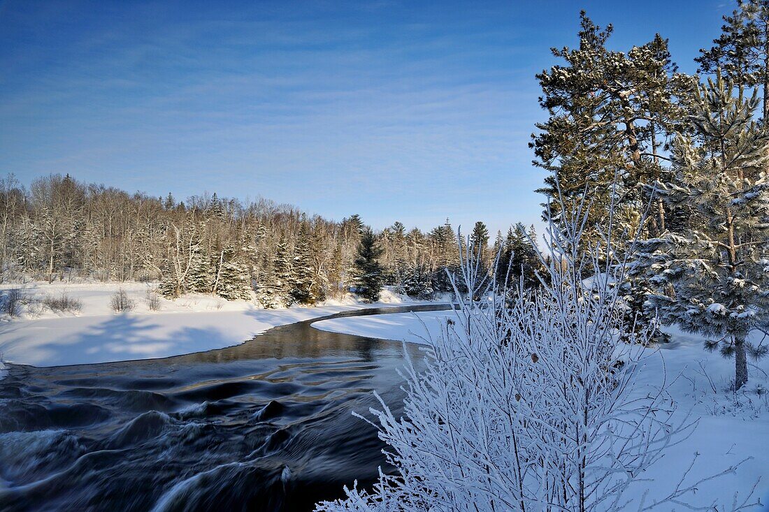 Open water of Wanapitei River with frosted trees in winter, Wanup, Ontario, Canada.
