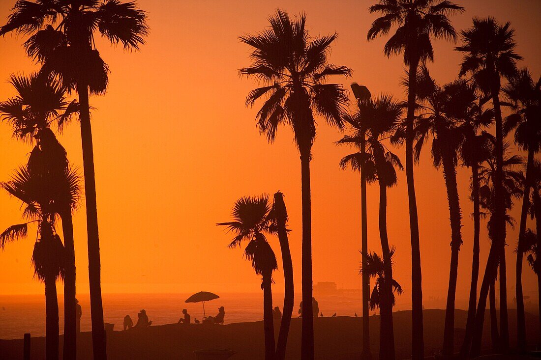 sillhouette of palm tree's and people in the distance enjoying a sunset at the beach