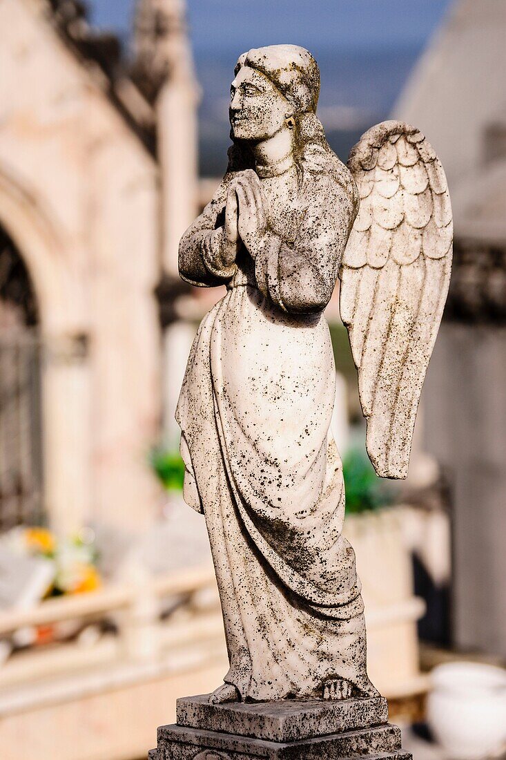 Angel praying, cemetery, Gouveia, Serra Da Estrela, Beira Alta, Portugal, Europe.