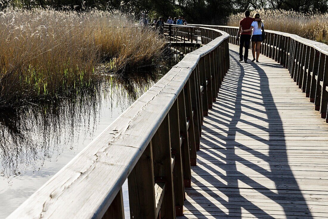 Tablas de Daimiel National Park, Ciudad Real, Castilla-La Mancha, Spanien, Europa