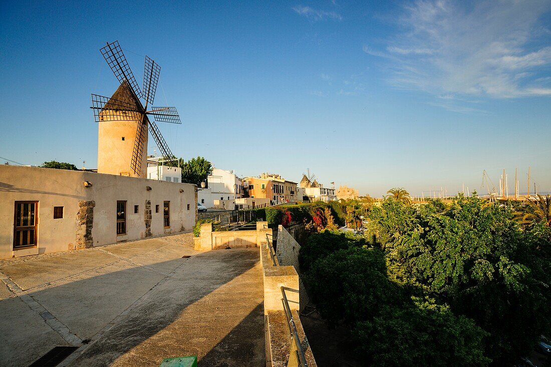 Jonquet Mills, Moli Den Garleta, Palma, Mallorca, Balearic Islands, Spain, europe.