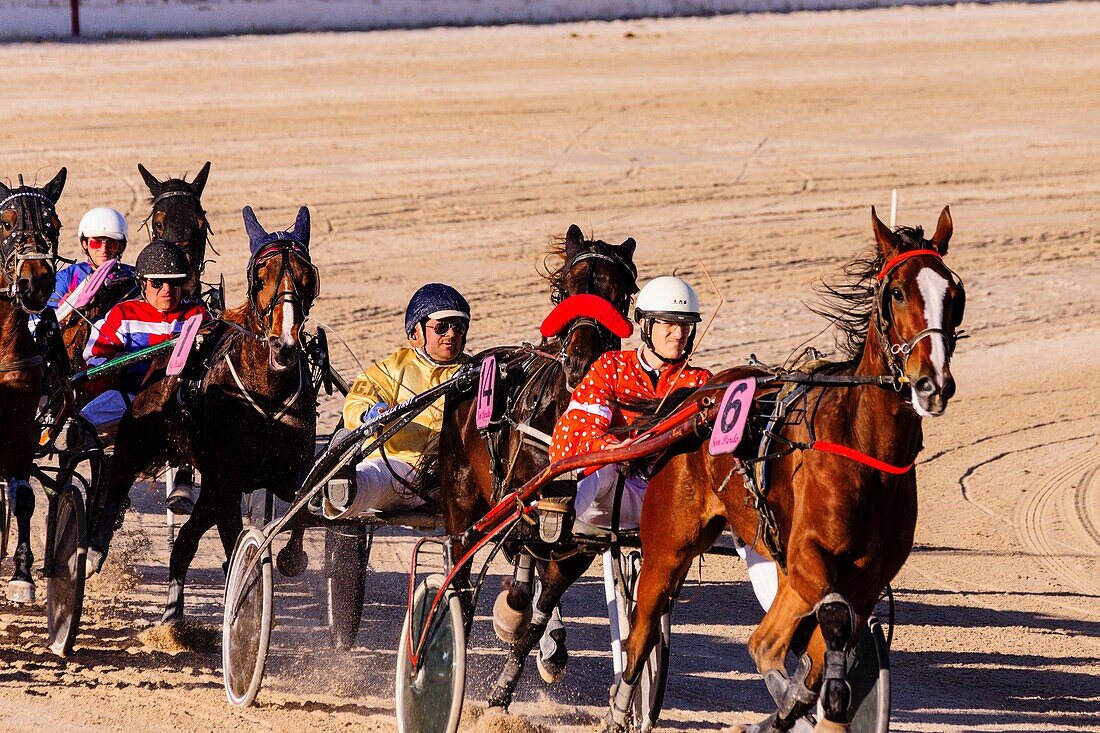 Großer Preis des Pferdesports, Pferderennbahn Son Pardo, Palma, Mallorca, Balearen, Spanien, Europa