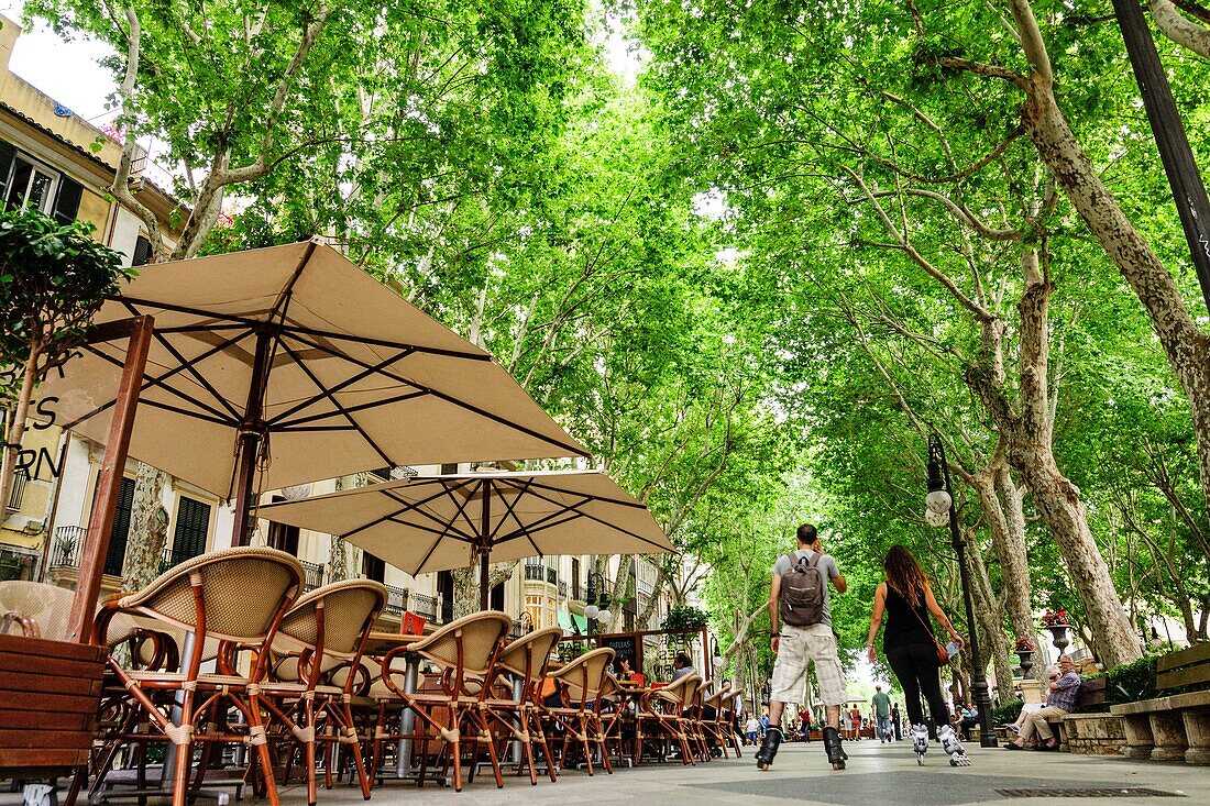 Passeig del Born, Palma, Mallorca, Balearic Islands, spain, europe.