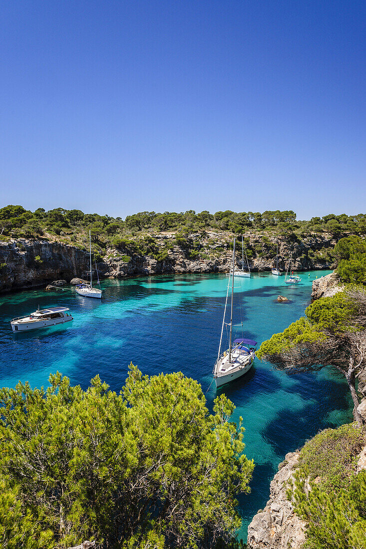 Yachten vor Anker, Cala Pi, Llucmajor, Region Migjorn. Mallorca. Balearische Inseln. Spanien