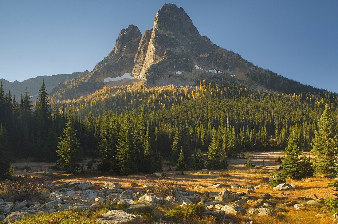 Liberty Bell Mountain at sunrise from meadows of Washington Pass, North Cascades Washington.