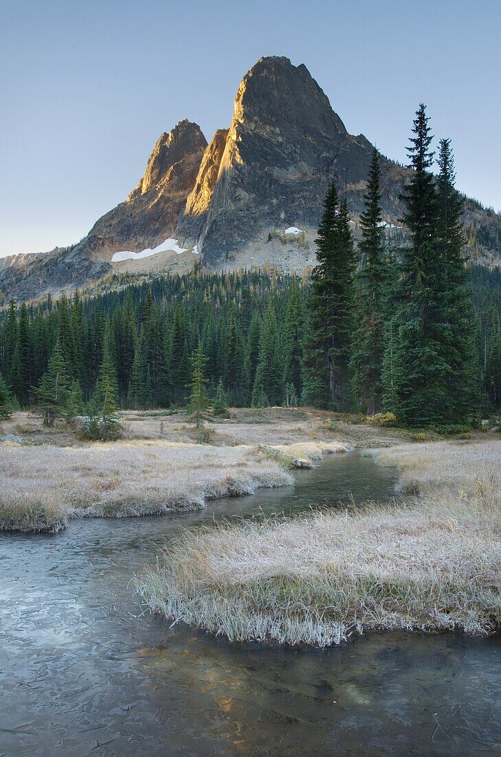 Liberty Bell Mountain at sunrise from meadows of Washington Pass, North Cascades Washington.