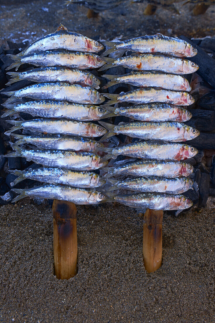 Benalmadena, Grilled sardines, Espeto de Sardinas, Malaga. Andalusia, Spain.