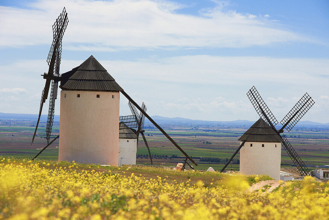 Windmills, Campo de Criptana. Route of Don Qiuijote, Ciudad Real province, Castilla-La Mancha, Spain.