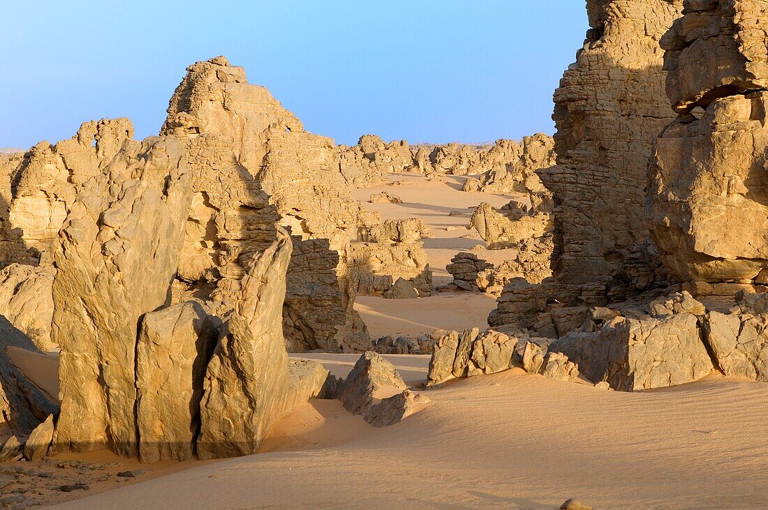 'Stone Forest; Maridet; Libyan Arab Jamahiriya; Libyan Desert.'