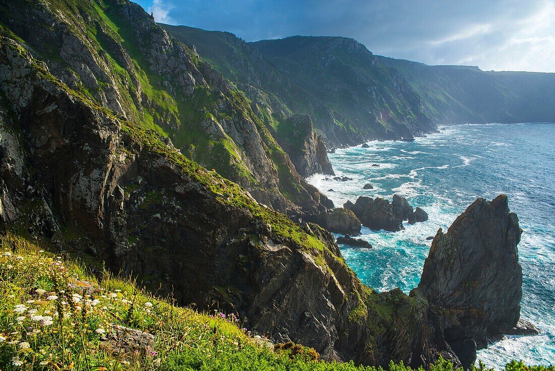 Cape Ortegal in Cariño. A Coruña. Galicia. Spain. Europe.