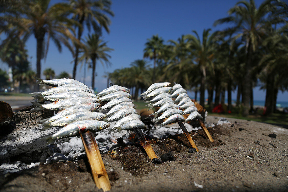 Barbequed fish stand in Torremolinos, La Carihuela, Málaga province, Andalusia, Spain