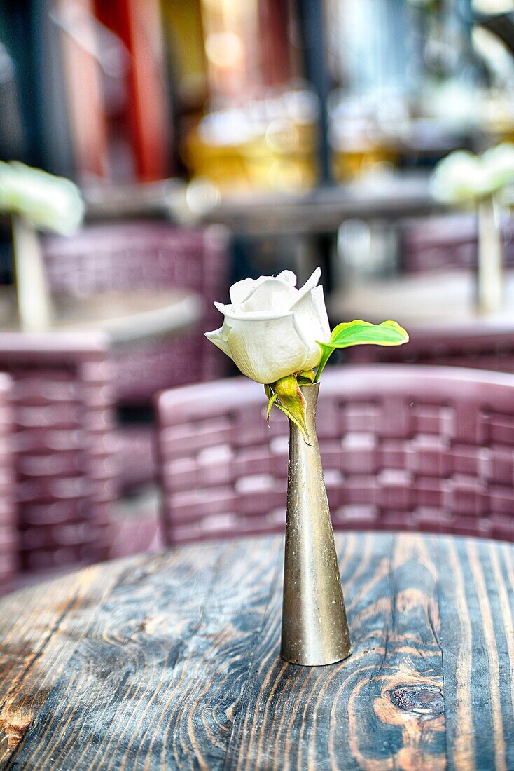 White Rose in a Stainless Steel Bud Vase Decorating a Table at an Ourdoor Urban Sidewalk Cafe.
