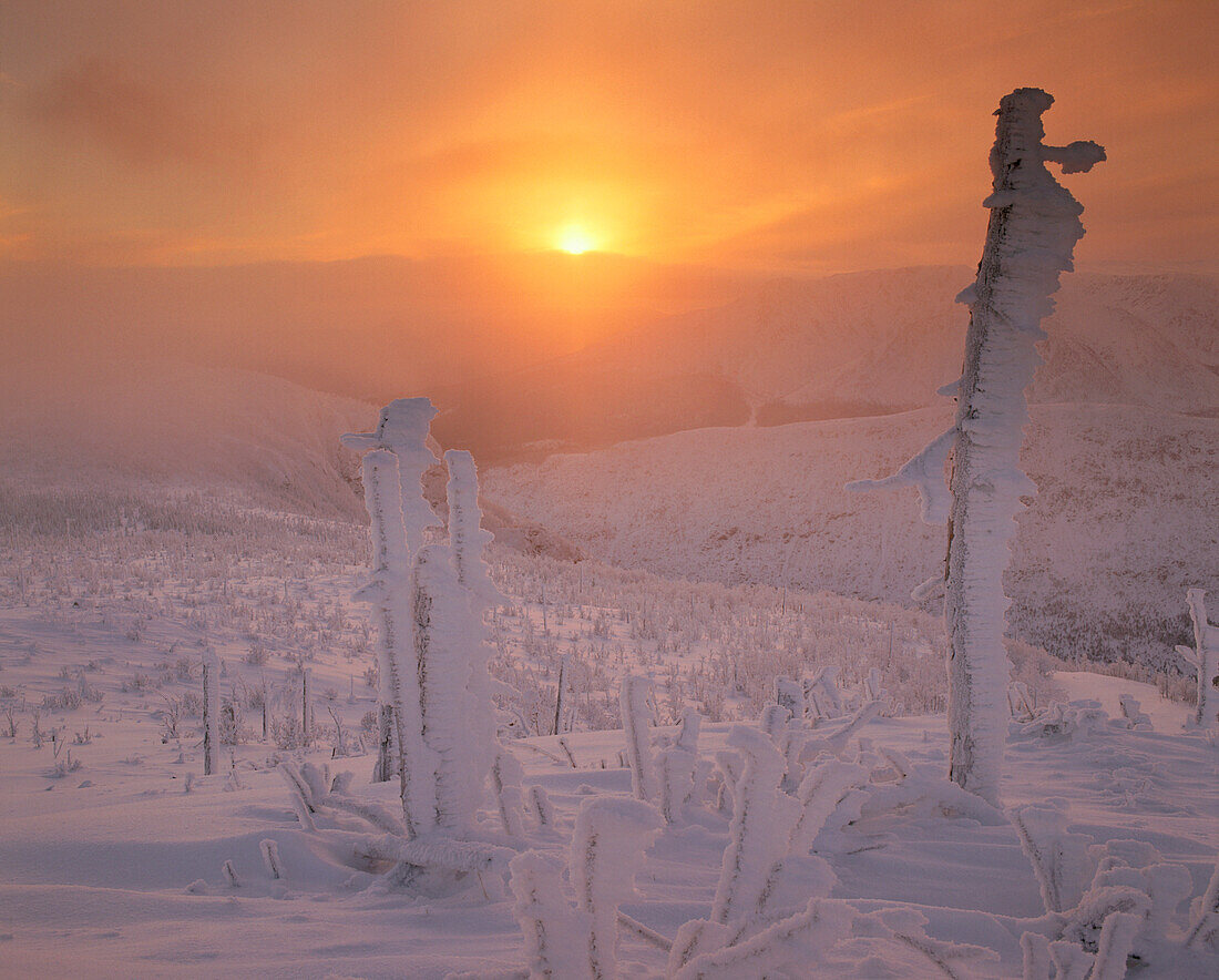 Snow Covered Hills At Sunset, Mount Ernest Laforce, Gaspesie, Quebec