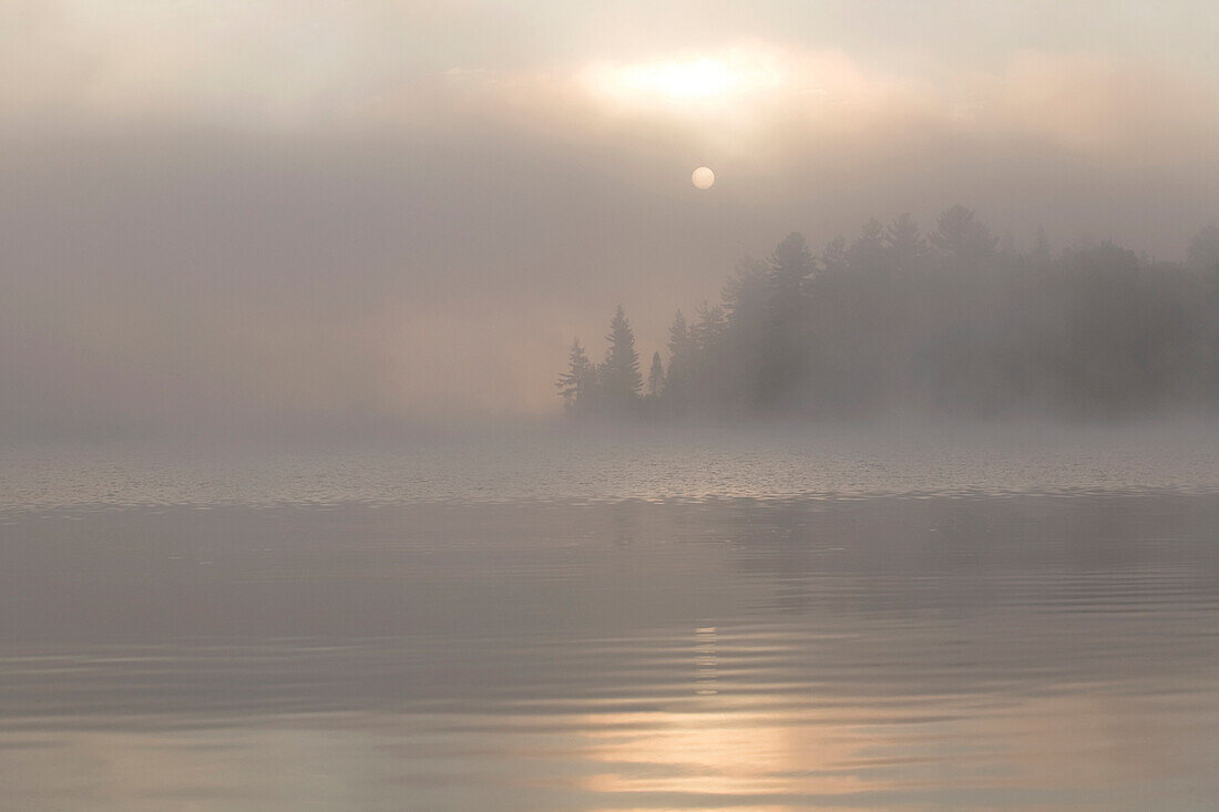 Sunrise Over A Lake On A Misty Morning, Algonquin Park, Ontario