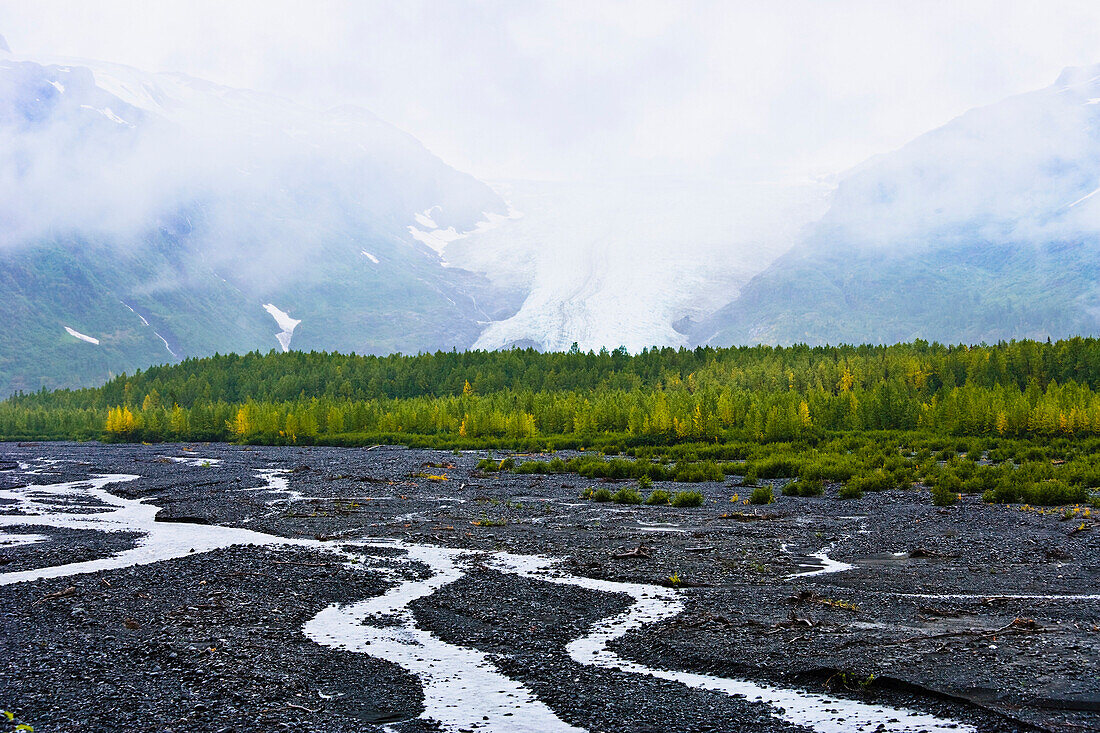 Artist's Choice: View Of Exit Glacier And Fog In Kenai Fjords National Park, Alaska