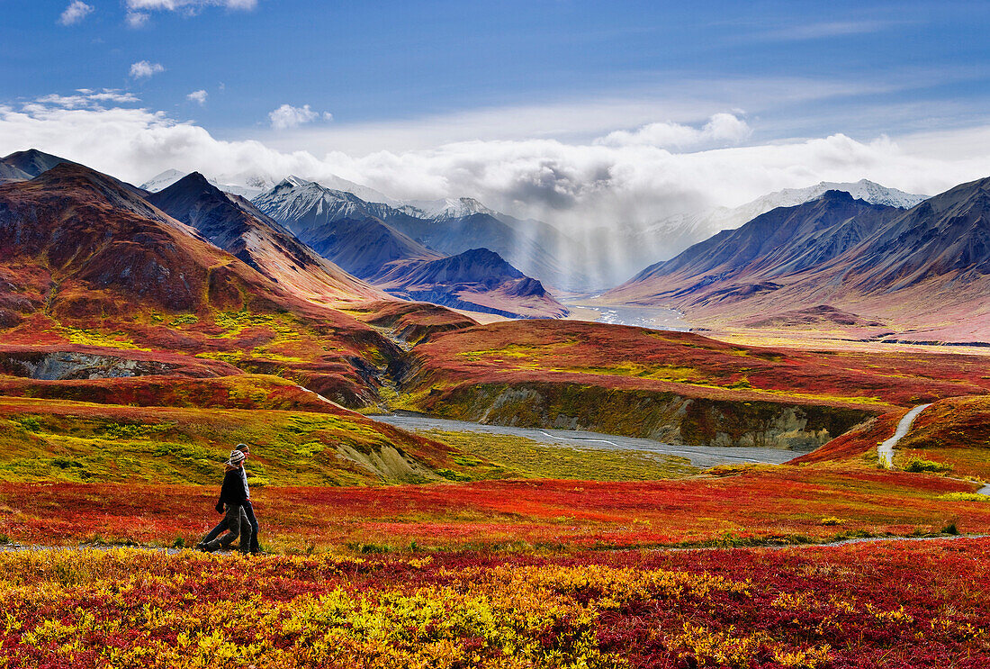 Hikers, Fall Colours And Alaska Range, Denali National Park, Alaska