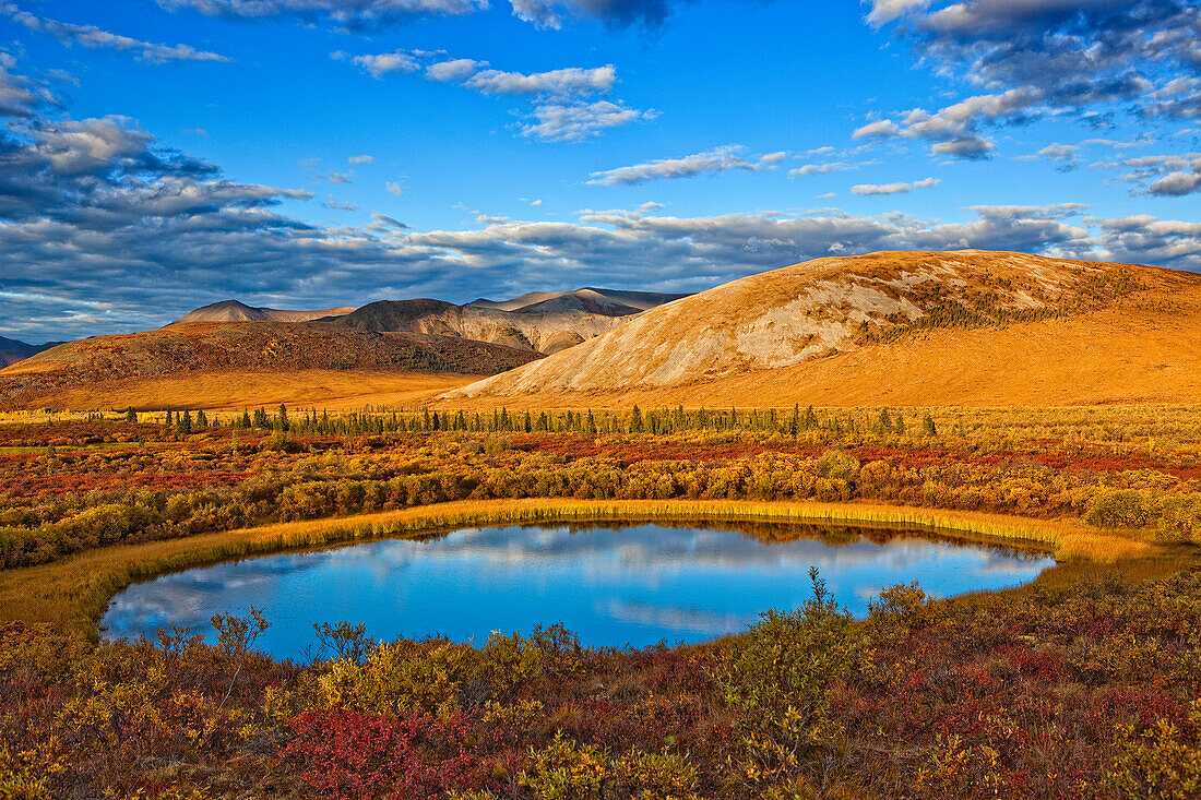 'The Setting Sun Illuminates The Vibrant Colours Of The Tundra And A Pond Along The Dempster Highway; Yukon Canada'