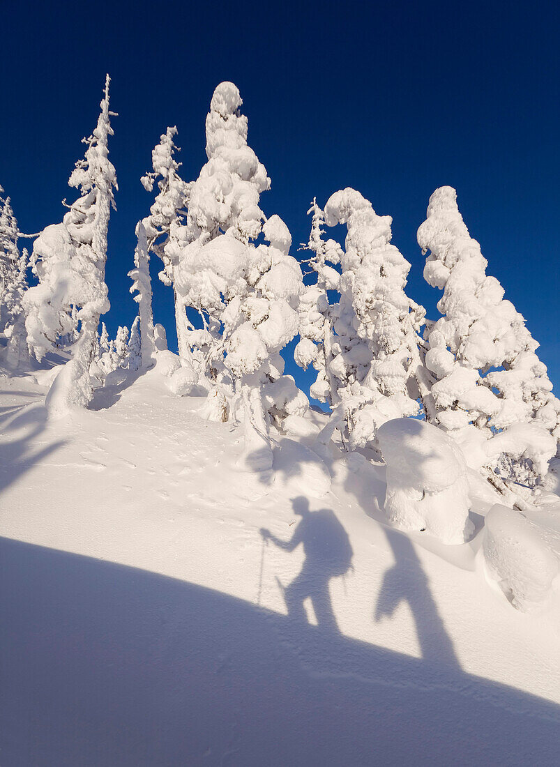 Shadow Of A Skier Climbing The Snow Covered North Wrangell Trail, Wrangell Island, Alaska