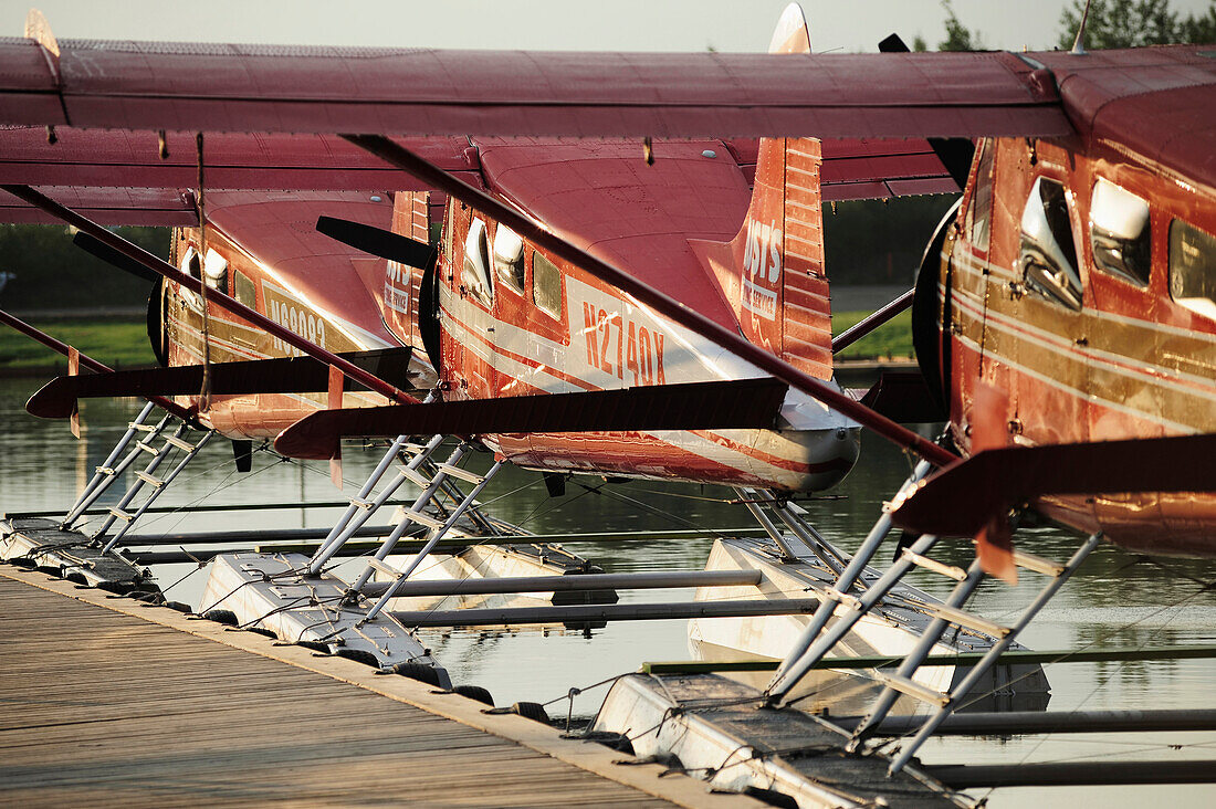 Group Of Rust's Flying Service Dehavilland Beaver Airplanes Docked On Lake Hood In Anchorage, Southcentral Alaska, Summer/N