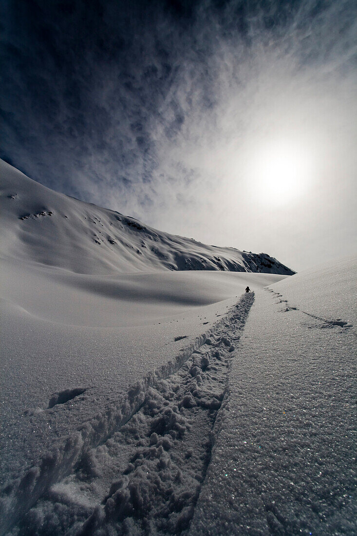 Alpine Skier Leaves Tracks In Snow During His Ascent, Wrangell-St. Elias National Park, Alaska