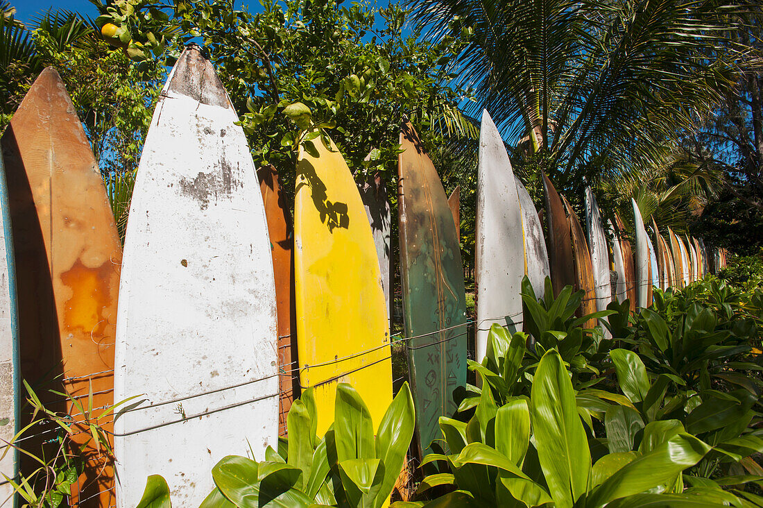 'Fence made up of surfboards; Maui, Hawaii, United States of America'