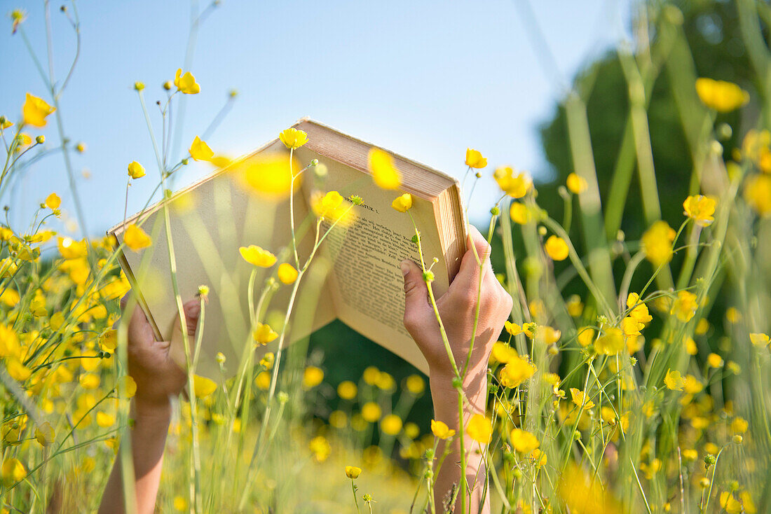 Cropped shot of boy's hands holding book in long grass