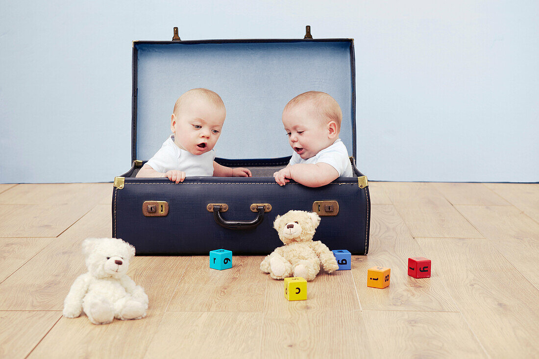 Two baby boys sitting in suitcase looking at toys