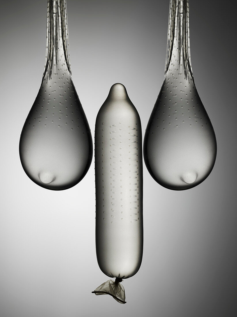 Stilleben mit Kondomen, die die männliche und weibliche Anatomie darstellen