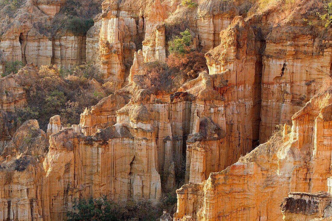 Chine , province du Yunnan , Yuanmou , La forÃªt de la Terre en argile de Yuanmou est un endroit classÃ© pittoresque couvrant une superficie de 50 km Â². Il a Ã©tÃ© formÃ© par le mouvement gÃ©ologique et l'Ã©rosion du sol il ya un ou deux millions d'annÃ©