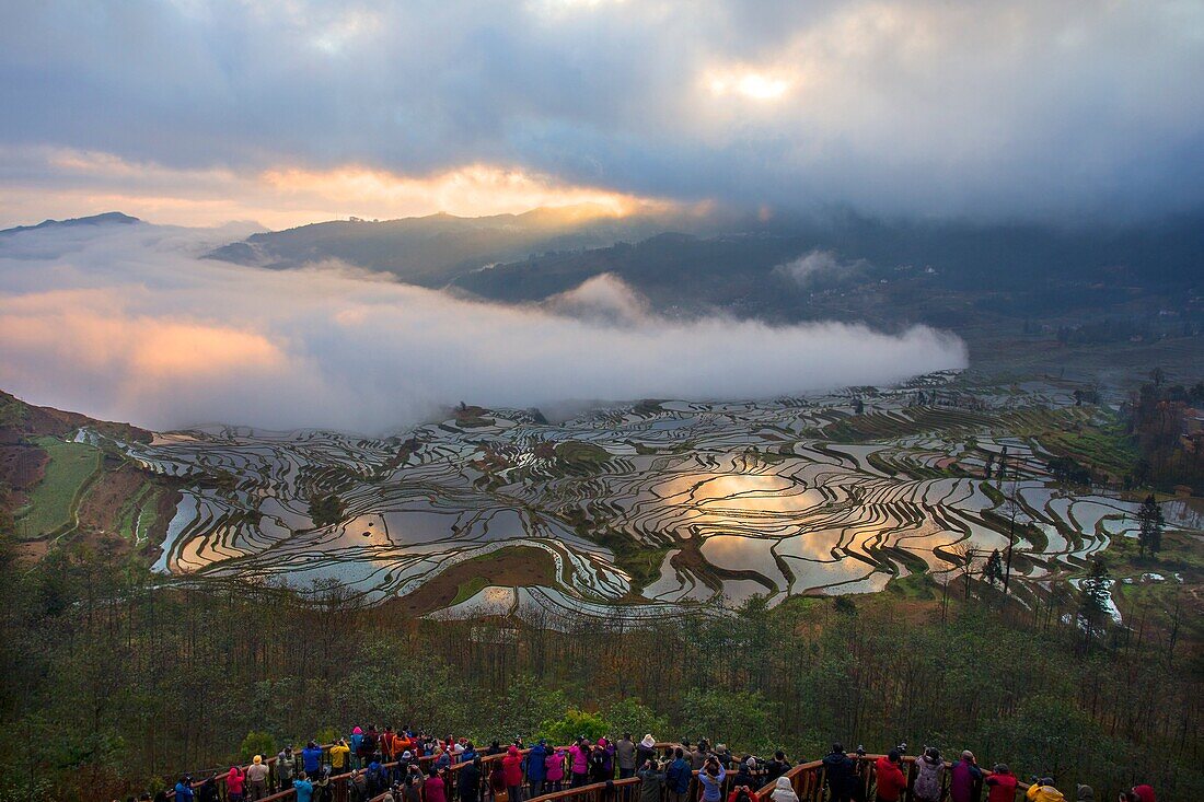 China , Yunnan province , Hani people, Yuanyang , Duoyishu village, rice terraces , sunrise.