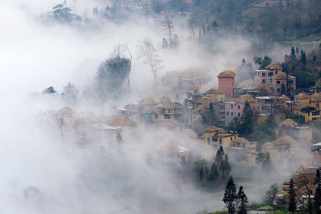 China , Yunnan province , Hani people, Yuanyang , Duoyishu village, rice terraces , sunrise.