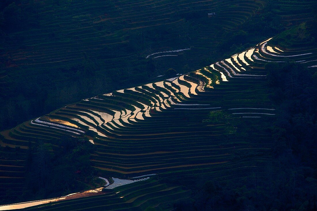 China , Yunnan province , Hani people, Yuanyang , sunset at Laohuzui, rice terraces.