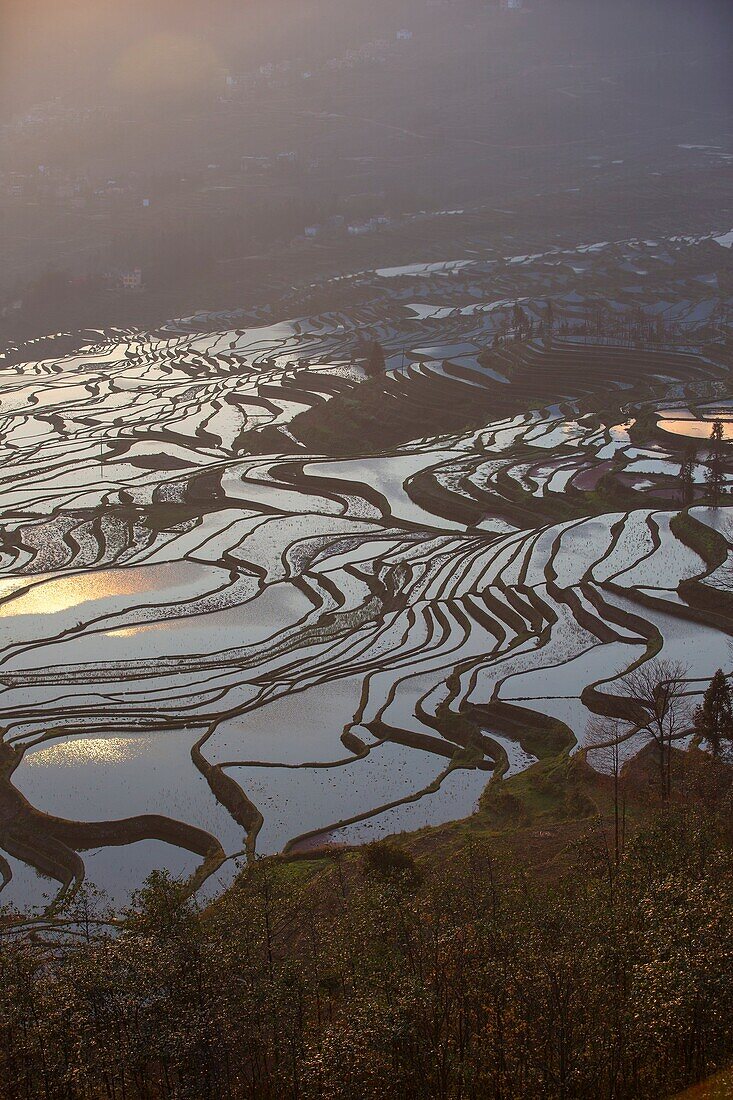 China , Yunnan province , Hani people, Yuanyang , Duoyishu village, rice terraces , sunrise.